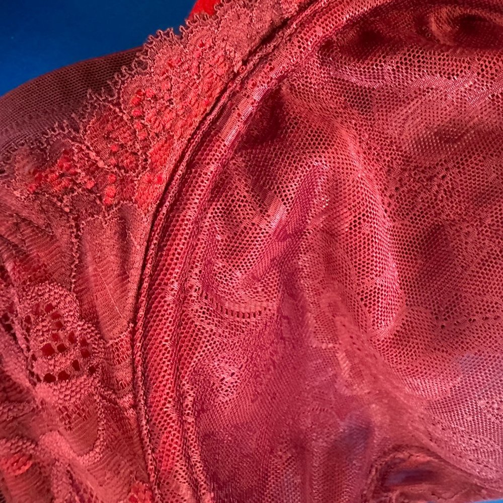 Brand new with tags Cacique Lane Bryant modern unlined full coverage 42C bra! - Picture 4 of 4